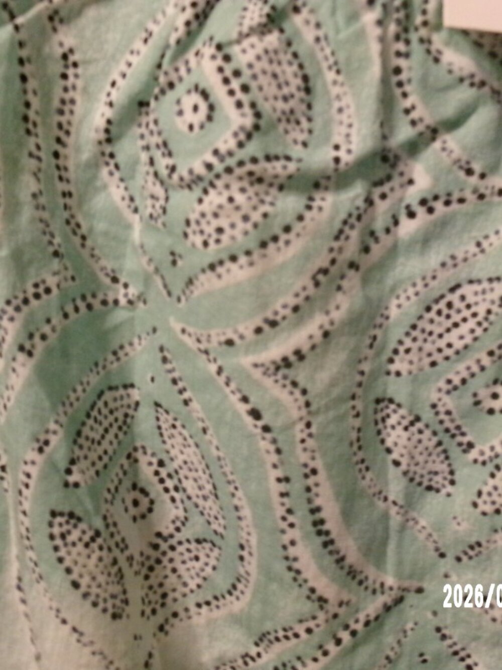 NEW Lauren Conrad LC Womens XL Soft Green White Elastic Long Sleeve Crop Top - Picture 3 of 6